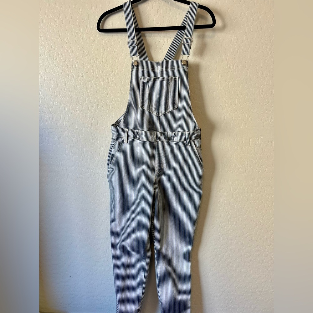 Women’s Striped Overalls